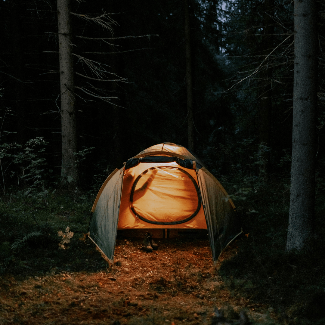 shelter